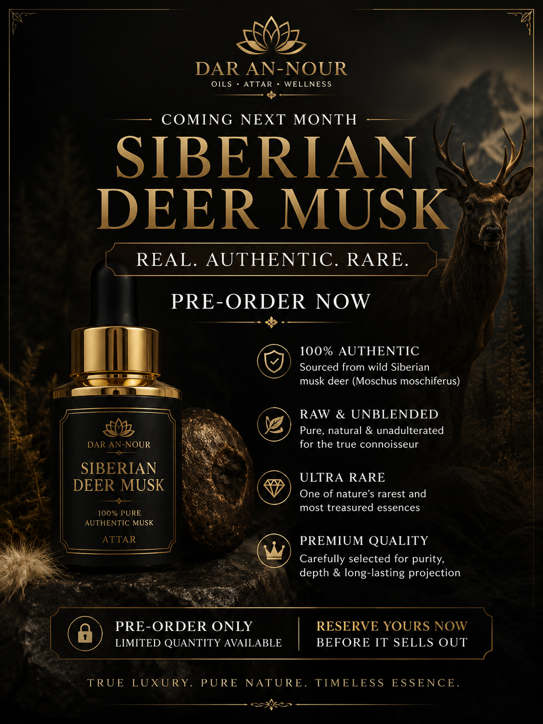 Siberian Deer Musk Reserve – 2-Year Mysore Sandalwood Maceration (PRE-ORDER)