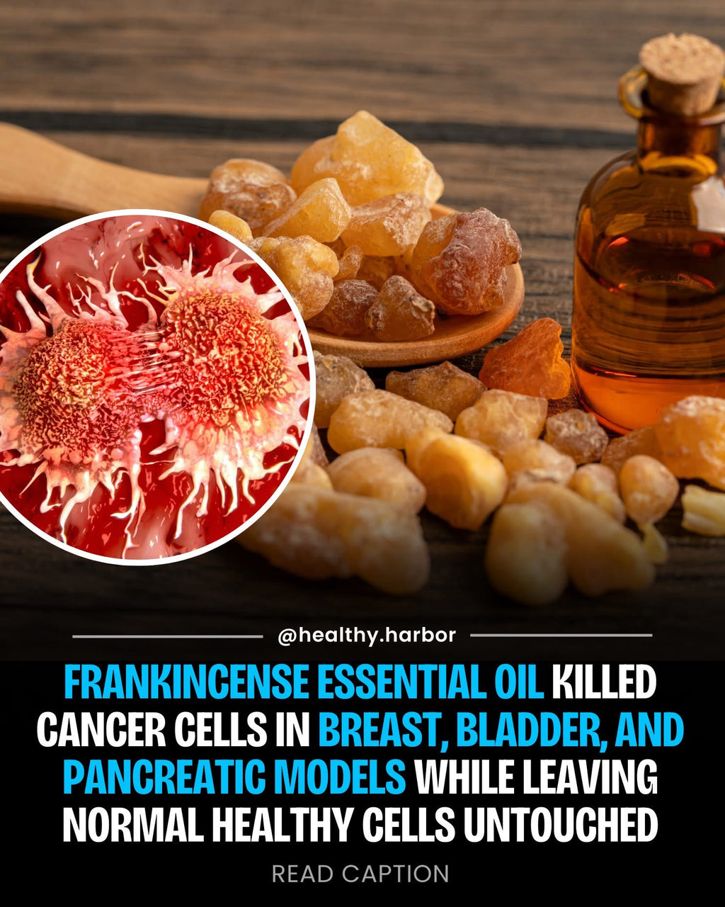 Frankincense Resin - Royal Hajari