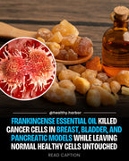 Frankincense Resin - Royal Hajari