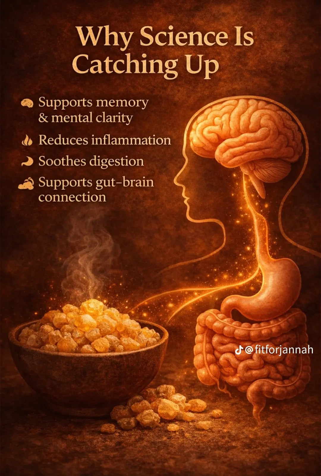 Frankincense Resin - Royal Hajari